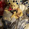 Terry Redman - @terry.redman - TikTok