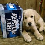 Terry Lee Reigel Jr. - @terryreigel - Instagram