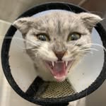 Terry Rhoads - @rhoads9896 - Instagram