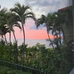 Terry Richman - @joyflcurleygirl - Instagram