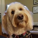 Terry Richmond - @terry.richmond.940 - Instagram