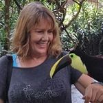 Terry Carlson Richter - @terrycarlsonrichter - Instagram