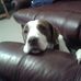 Terry Rickard - Facebook