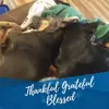 Terry Ricker - @terry.ricker - TikTok