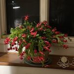 Terri Benge-Rickerson - @terribengerickerson - Instagram