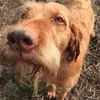 Terry Ricketts - @terry.ricketts4 - TikTok