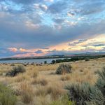 Terry Rickman - @tlrickman54 - Instagram