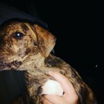 Terry Micheal Ricks - @its_1ife_5 - Instagram