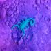 Terry Ricks - Facebook