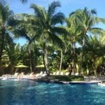 Terry Riess - @terryriess - Instagram