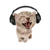 Terry Riggs - @terryriggs849 - TikTok
