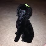 Terry Briner - @brinerterry - Instagram