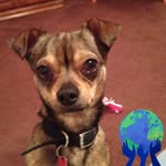 Terry Rinehart - @terryrinehart46 - Instagram