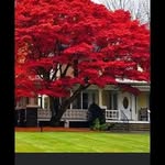 Terry Riner - @terry.riner.9 - Instagram