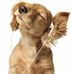 Terry Ringer - Facebook