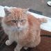 Terry Ringler - Facebook