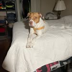 TerryRininger - @terryrininger7471 - Instagram