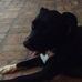 Terry Risher - Facebook