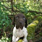 Terry Ritchie - @terry.ritchie.585 - Instagram