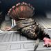 Terry Ritchie - Facebook