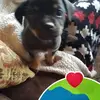 Terry Ritchie - @terry.ritchie0 - TikTok