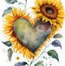 Theresa Rohr - Facebook