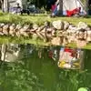 Terry Krook - @terry.krook - TikTok