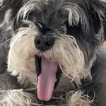 Terry Root - @root3647 - Instagram