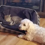 Terri Rosenthal - @rosenthalterri - Instagram
