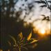 Terry Rosero - Facebook