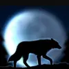 rowan.terryaugust448 - @rowan.terryaugust - TikTok