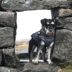 Terry Rowan - @eltelr - Instagram