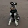 terryrowan431 - @terryrowan431 - TikTok