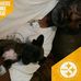 Royce Terry - Facebook