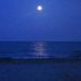 Teresa Royston - Facebook