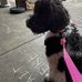 Sydnei Terry Rubenstein - Facebook