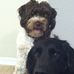 Terri Rubenstein - Facebook