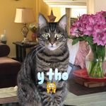 Terry Rubin - @twistedsista64 - Instagram