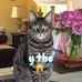 Terry Rubin - Facebook