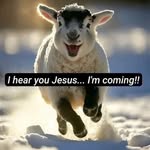 Terry Rucker - @terryrucker - Instagram