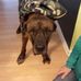 Terri Ruddell - Facebook