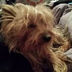 Terry Ruebush - @terryruebush - Instagram