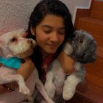 Ruffo, Terry & Princess.🐶 - @terry_ruffo_princess - Instagram