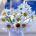 Terry Ruggles - Facebook