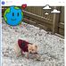 Terry Ruggles - Facebook