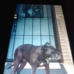 @terry.rule.927 - Instagram