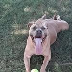 Terry Runyon Sr. - @sr.terryrunyon - Instagram