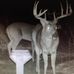 Terry Rupp - Facebook