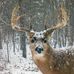 Terry Rupp - Facebook