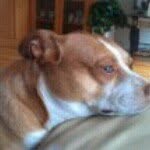 Terry Ruppersberger - @terry_ruppersberger - Instagram
